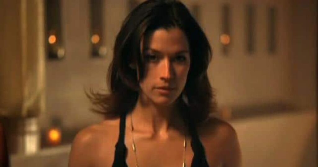 Brooke Langton Career